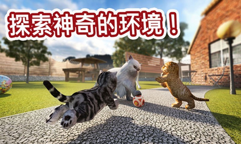 迷你小猫城市生存手游app截图