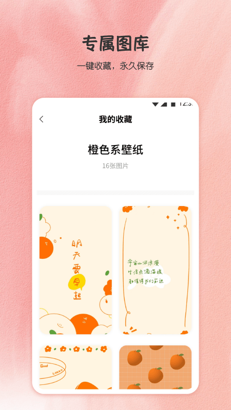 小王壁纸安卓版手机软件app截图