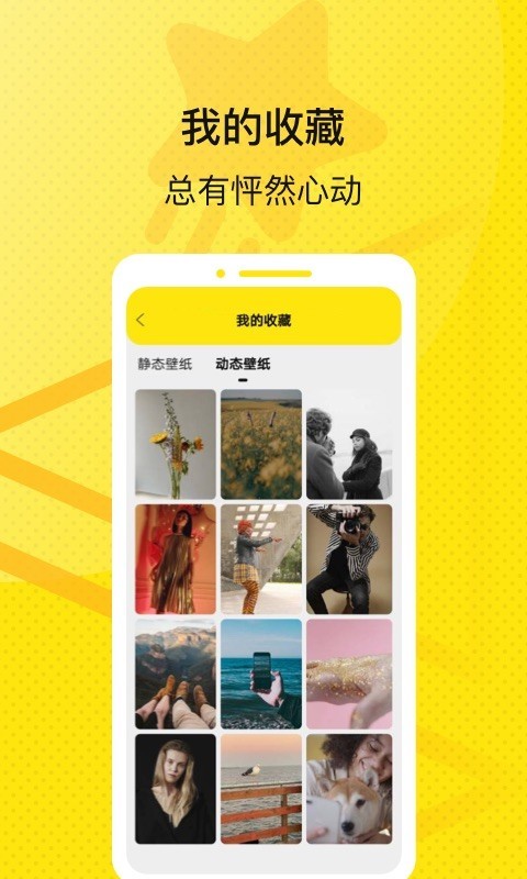 星星壁纸最新版手机软件app截图