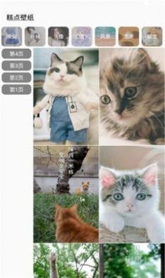 点心壁纸app高清版手机软件app截图