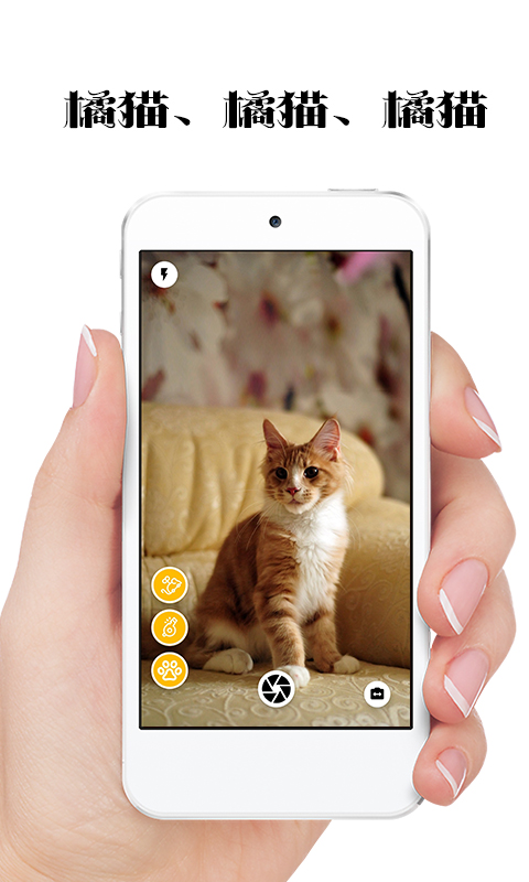 极简猫咪相机最新版手机软件app截图
