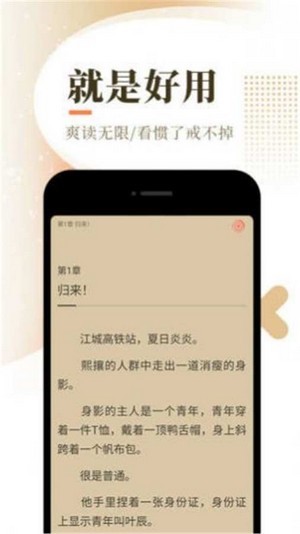 小说阅读器追书手机软件app截图