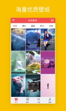 动态壁纸精选大全手机软件app截图