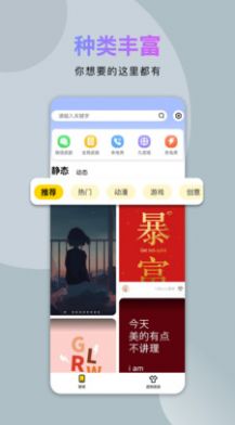 炫酷美化大全手机软件app截图