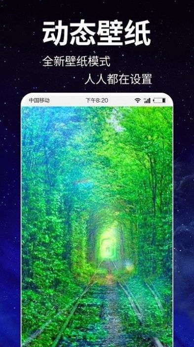 动态壁纸4k软件下载手机软件app截图