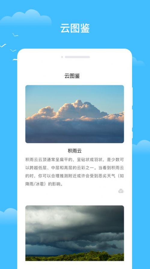 知你天气手机软件app截图