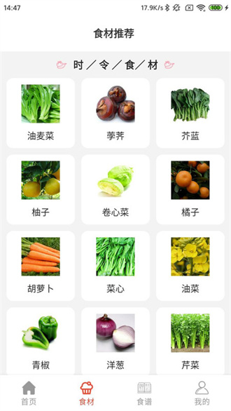 凯发菜谱安卓版手机软件app截图