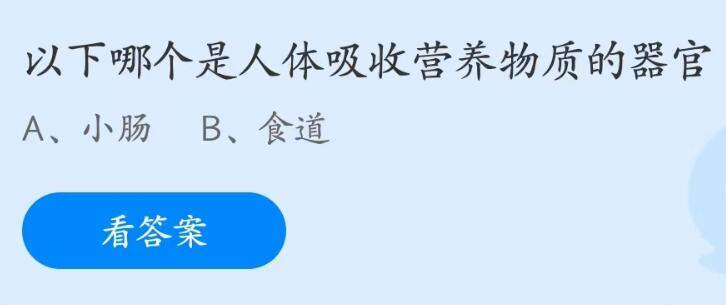 蚂蚁庄园5月31日答案一览-哪个是人体吸收营养物质的器官图片1